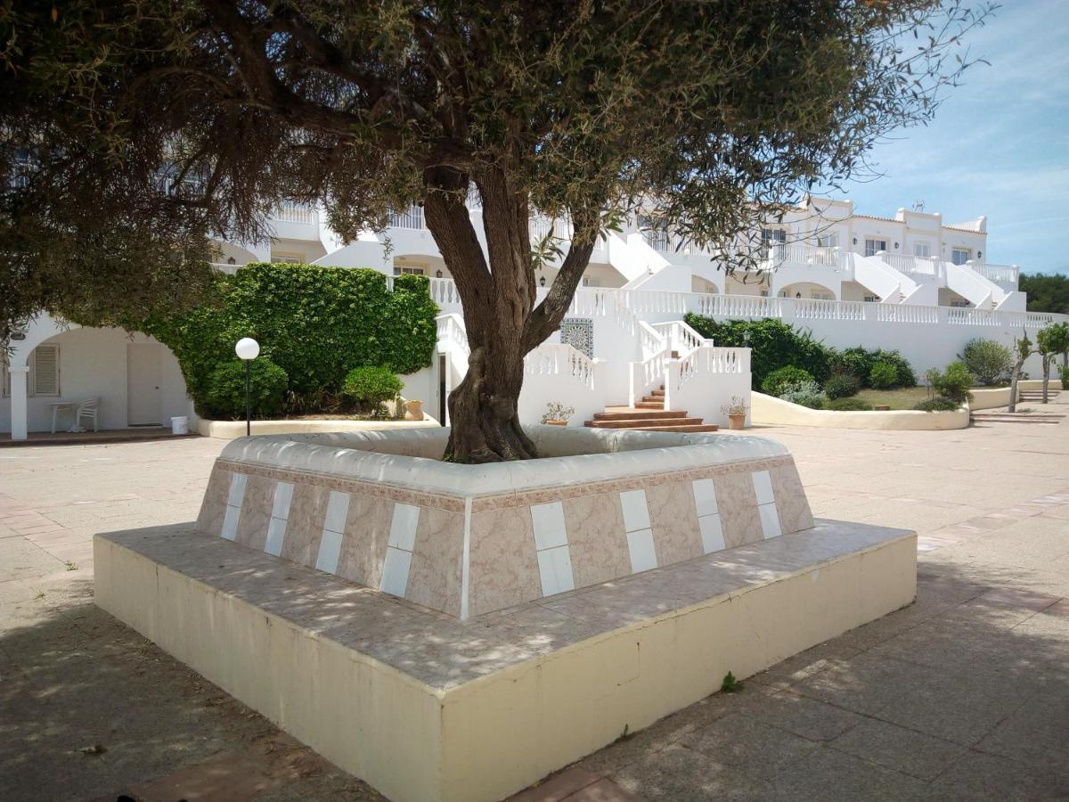 Castellsol Arenal Home Beach 푼타 그로사 객실 사진