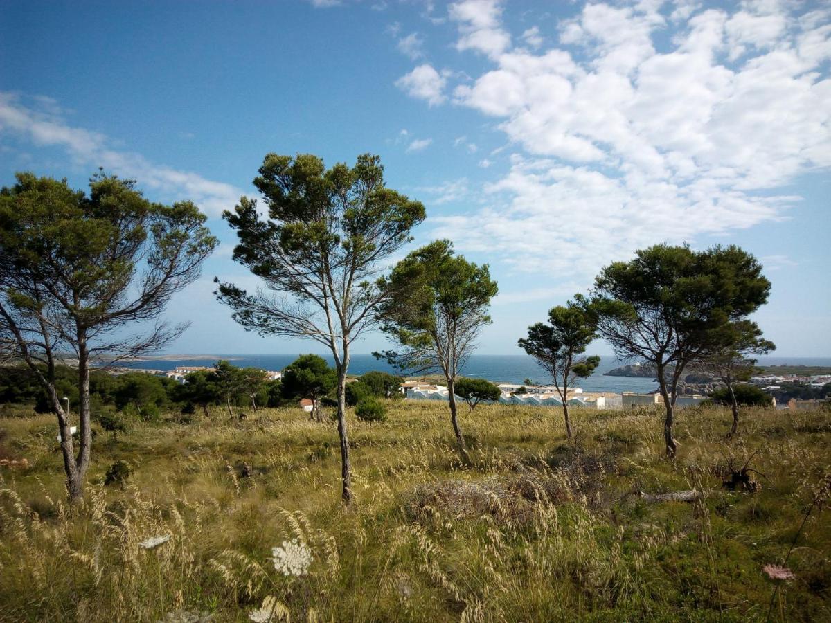 Castellsol Arenal Home Beach 푼타 그로사 외부 사진